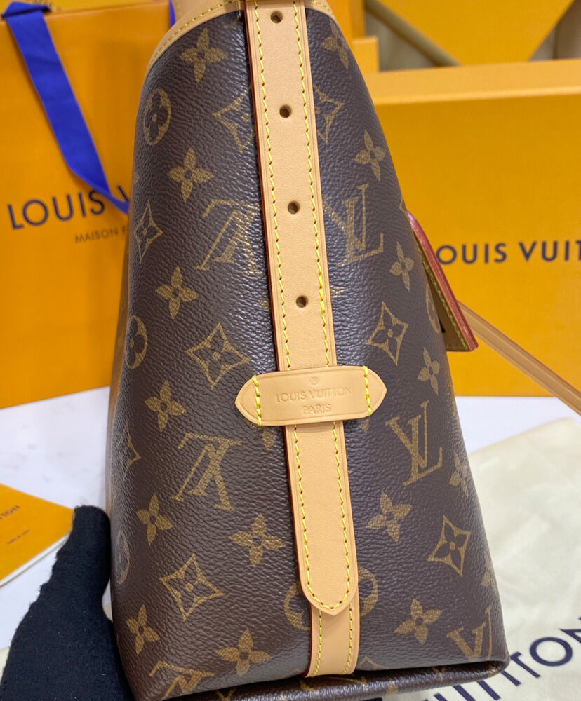 Louis Vuitton Carryall PM M46203 Brown