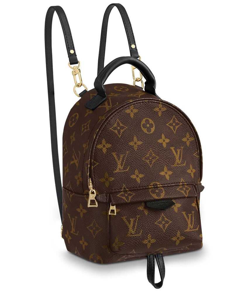 Louis Vuitton Monogram Palm Springs Backpack Mini Bag M41562 Brown - Click Image to Close