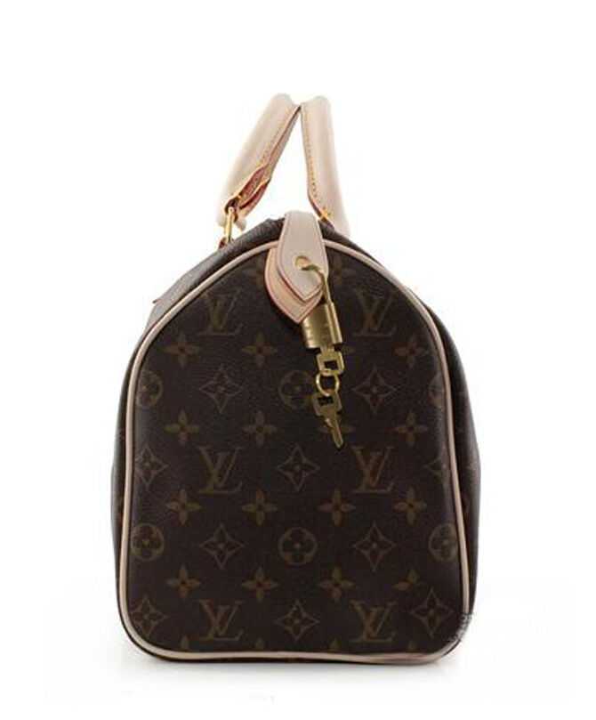 Louis Vuitton Speedy M41526 Brown