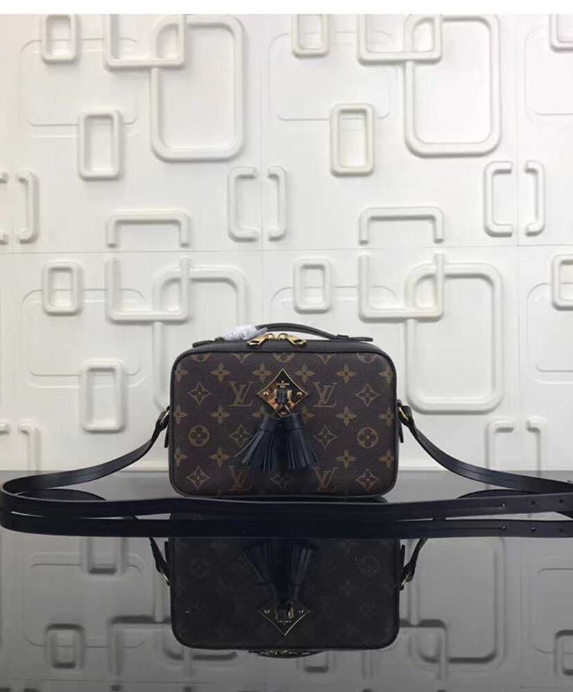 Louis Vuitton Saintonge M43555 M43557 M43559 Black