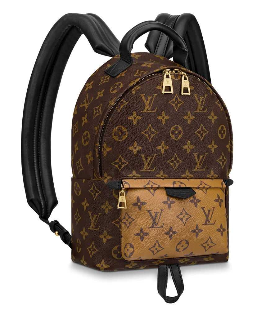 Louis Vuitton Palm Springs Pm M44870 Brown