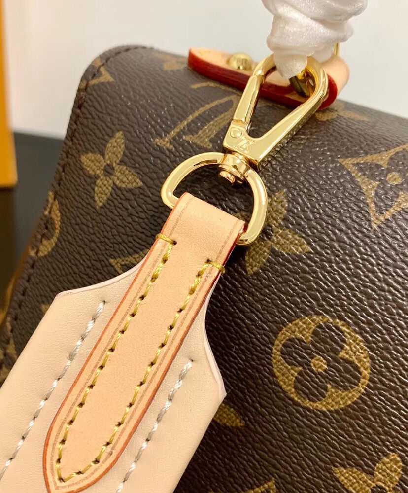 Louis Vuitton Cluny BB M44863