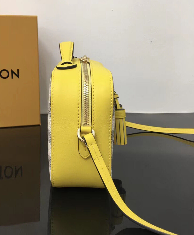 Louis Vuitton Saintonge N40154 Yellow